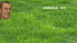 GRÜNZEUG-595