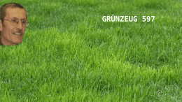 GRÜNZEUG-597